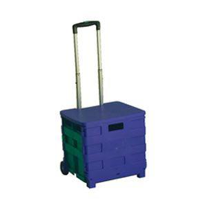 VFM - 379531 - Carro Plegable de contenedor con Tapa Azul, Verde